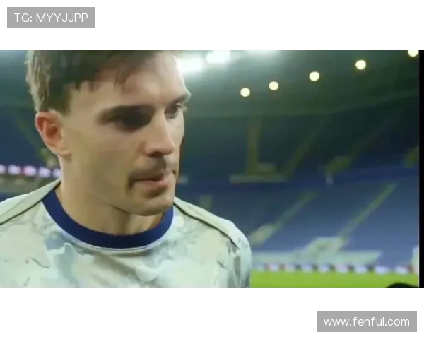 热刺中场帕利尼亚：零封埃弗顿完胜全队完全配得上这场胜利